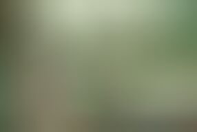 Petite schoolgirl shows her hairy cunt to her teacher