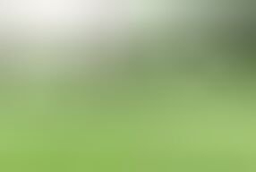 BDSM slave fisting - German