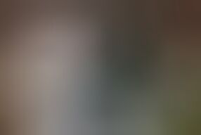 Japanese architect blows the tails of construction crew