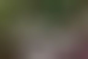 Hot Girls with Small Tits Enjoy Pussy Licking and Fingering as They Have Lesbian Threesome at the Cafe