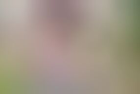 My stepmom picks me up without a bra to watch movies