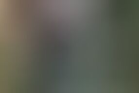 Sucking toes and eating ass