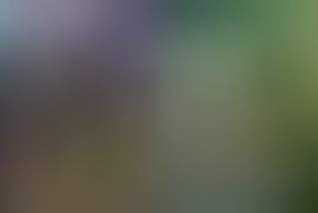 Ggg John Thompson - Bukkake Party