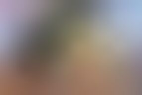 Sex.. Sex.. only sex