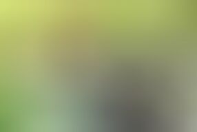 Whispers in the Dark Tina Nandy and Tejashwini Prabhakar