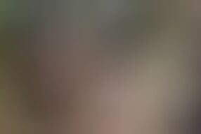 Big boobed German sluts fucking one horny dude