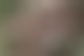 Dirty Garden Orgy (Perverse Family)