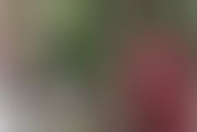 German Redhead Big Natural Saggy Tits Girl Dani Luve Seduce to Hard Amateur Fuck