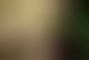 Hot Summer Vixen Fucks Two Stepdad Bods