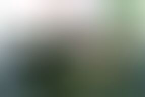 Interracial threesome with a stunning German brunette