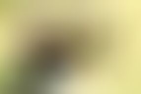 Big boobed granny with gray hair shakes her big ass on her hubby's cock