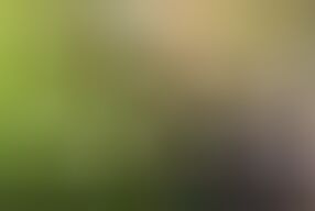 Village desi bhabhi fucked in mustard field in doggy style . Outdoor sex Desi bhabhi with dewar