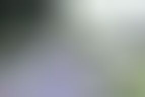 A Risky Shot in the Woods. All in the Ass!