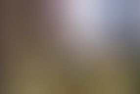 Country Girls Gangbang