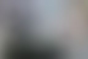 Shameless Swingers 1