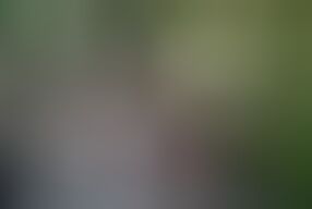 FULL OUTDOOR GANBANG SEX VIDEO AT PICNIC FULL MOVIE ( HINDI AUDIO )