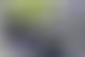 Extreme Sex in Nature! Cum Inside!.