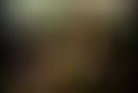 Sensual Blowjob for a Hung Stud