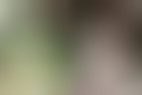 German housewife approached and fucked on the street