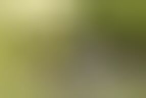 Hot and pretty brunette does boobjob and fucks outdoor