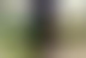 Jade and Amanda, Two Naughty Girls Who Get Fucked by a Guy