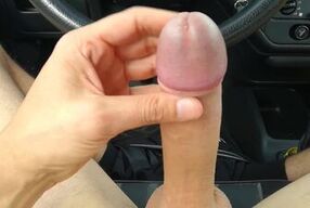 Wank in my car #5